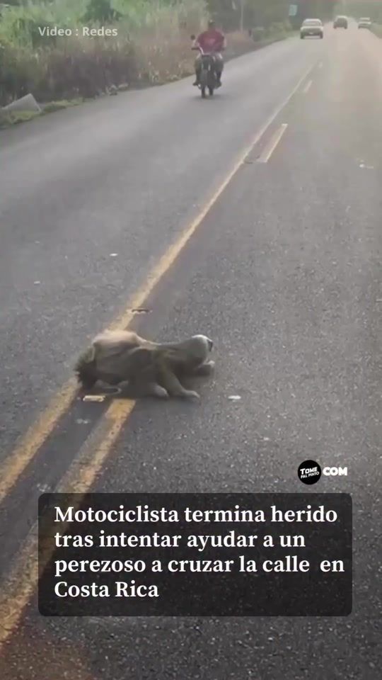 TikTok video thumbnail by oscarojito