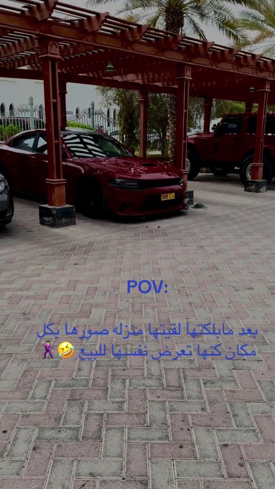 TikTok video thumbnail by mudrik78