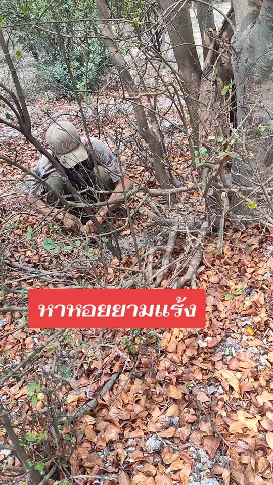 TikTok video thumbnail by user2818108376148