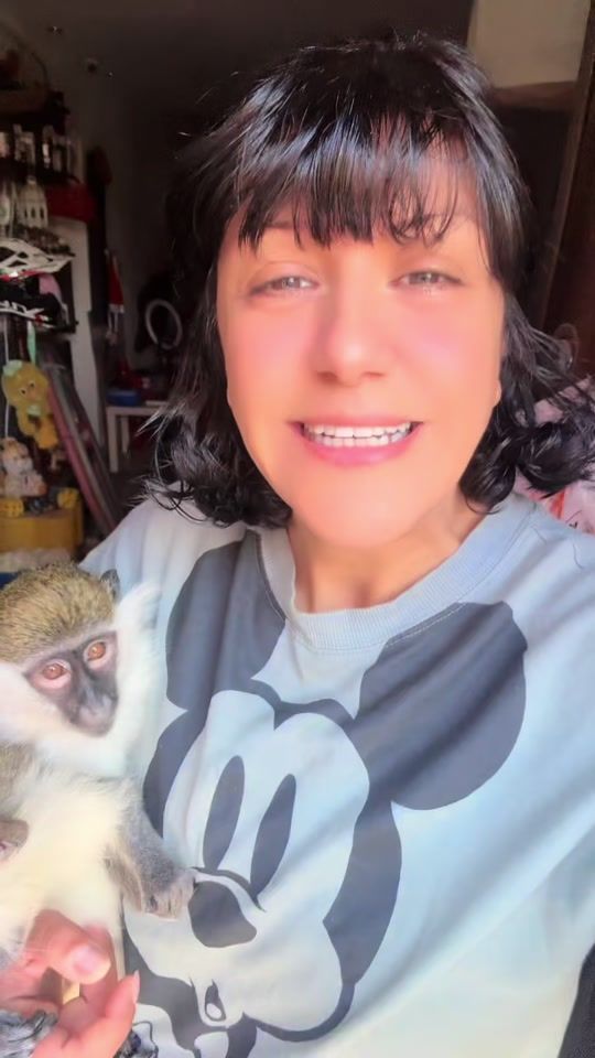 TikTok video thumbnail by cindrellapuppets