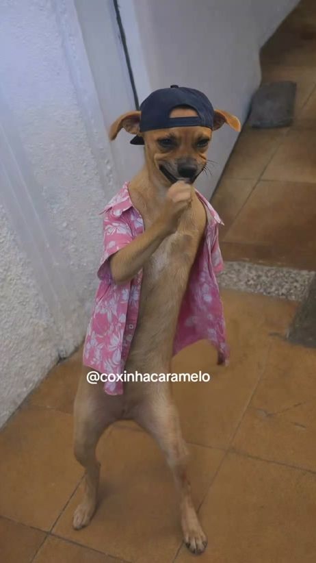 TikTok video thumbnail by coxinha.caramelo