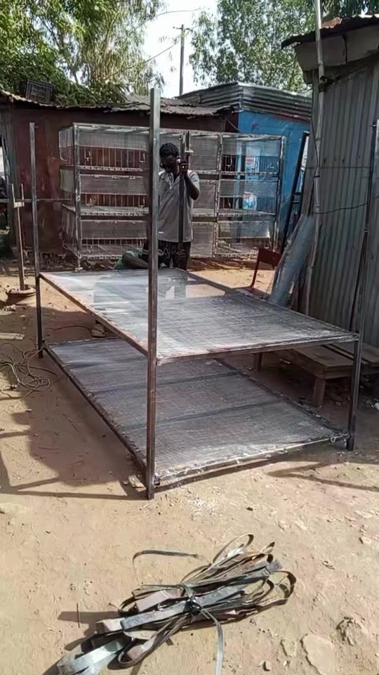 TikTok video thumbnail by datapoultryferme