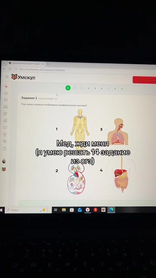 TikTok video thumbnail by semyonkot9