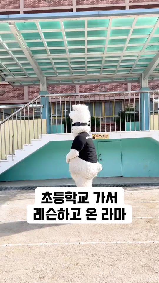 TikTok video thumbnail by inssa_rama