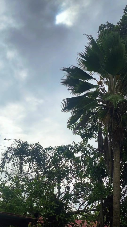 TikTok video thumbnail by brykkkkk