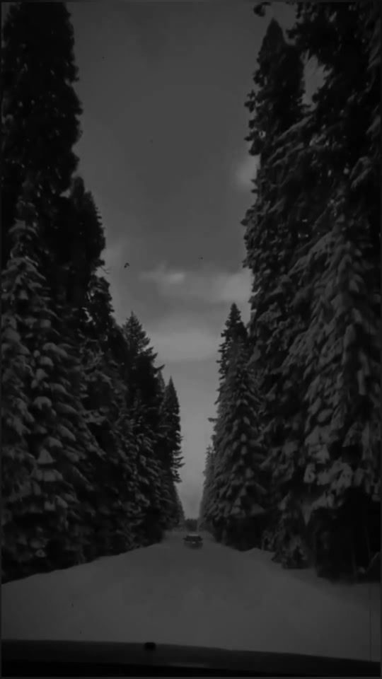TikTok video thumbnail by wael_yh