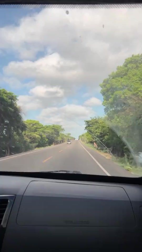 TikTok video thumbnail by yirlesotovega