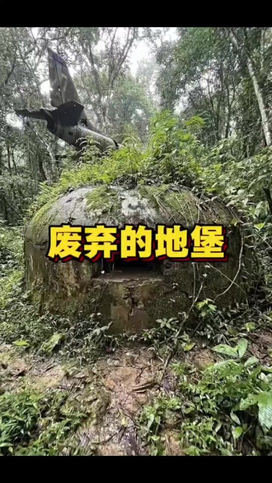 TikTok video thumbnail by user1877486736674
