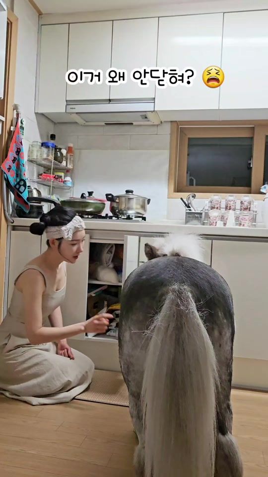 TikTok video thumbnail by wallytherapy