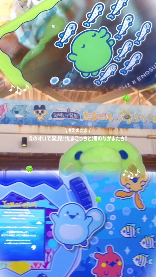TikTok video thumbnail by athome_fuwaru