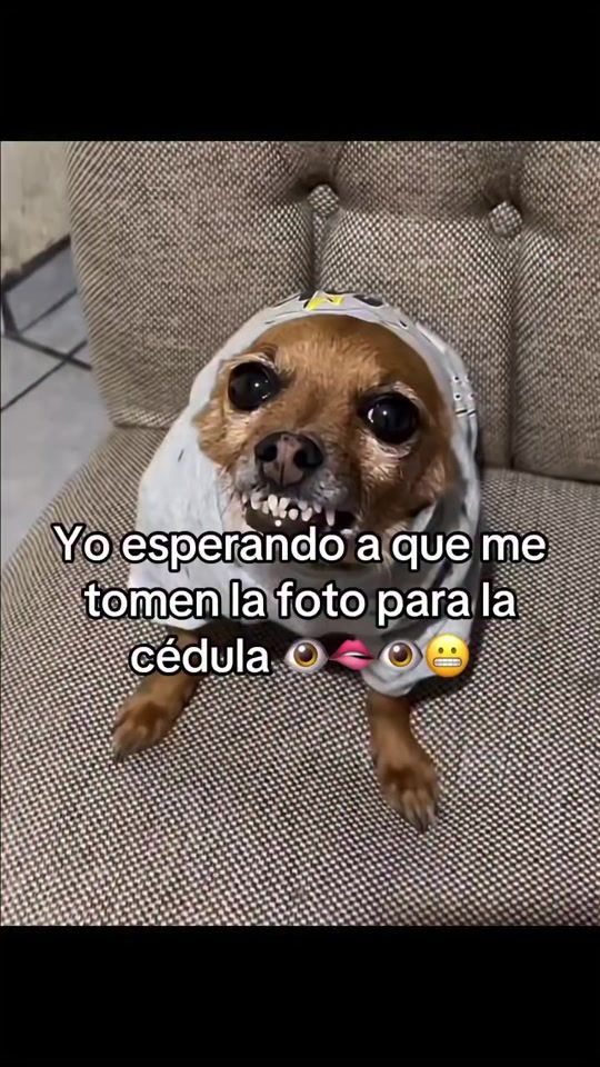 TikTok video thumbnail by sectareyesmagos