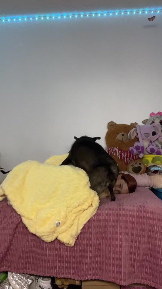 TikTok video thumbnail by yamilk_rm