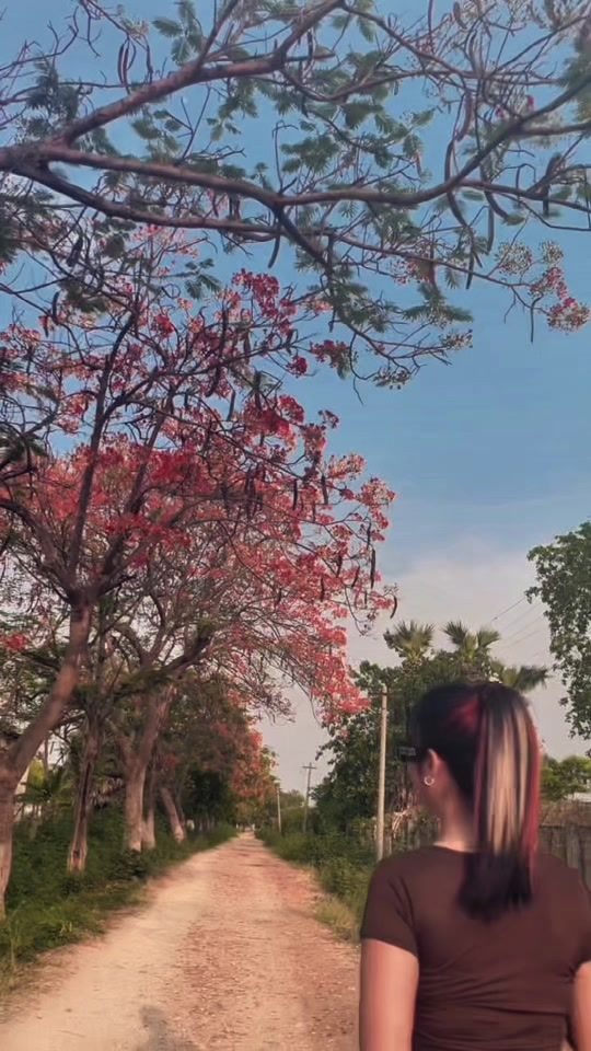 TikTok video thumbnail by su.su8791