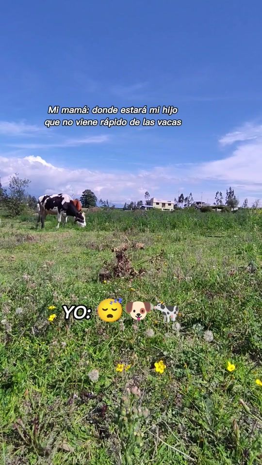 TikTok video thumbnail by brayan_santafe1