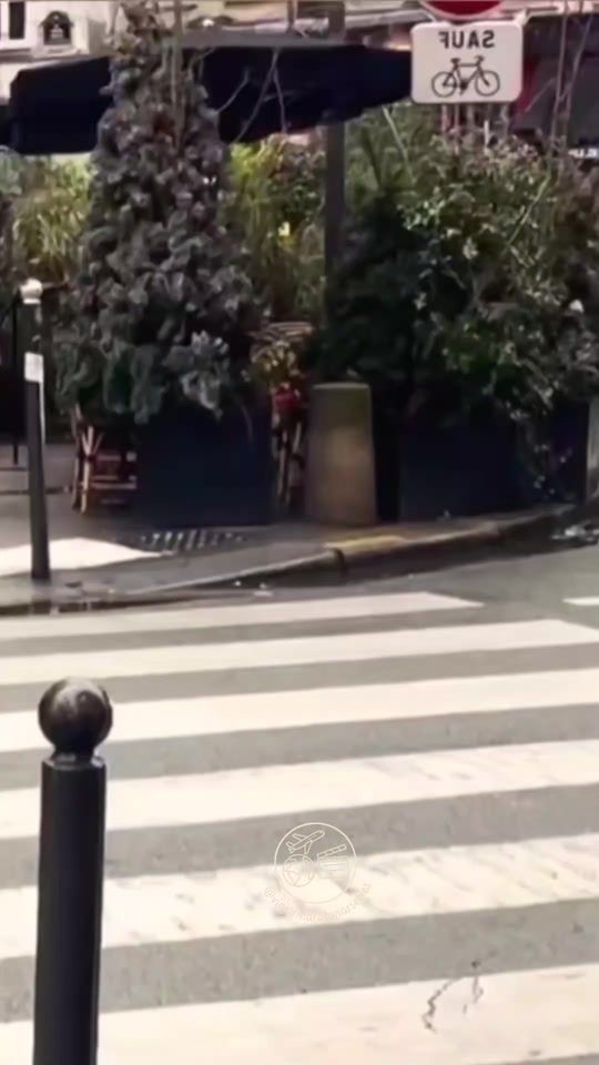 TikTok video thumbnail by viajarmaratonarseries
