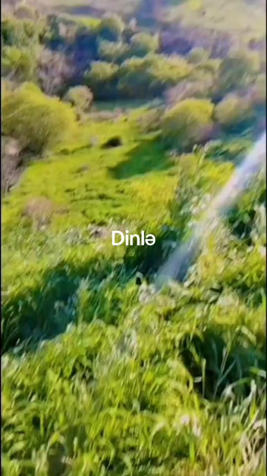 TikTok video thumbnail by o4o4a