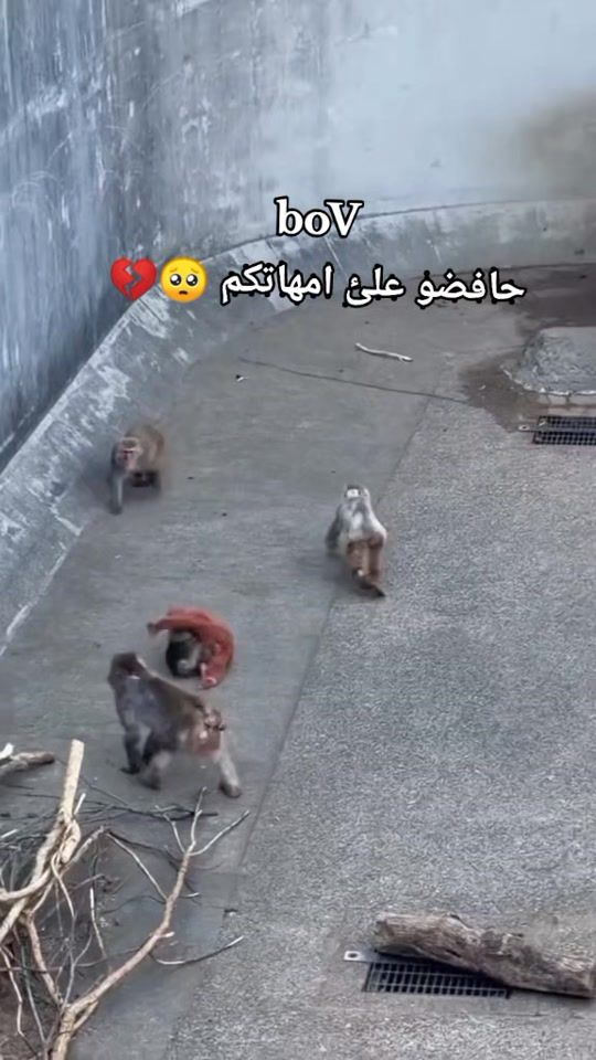 TikTok video thumbnail by aelen022