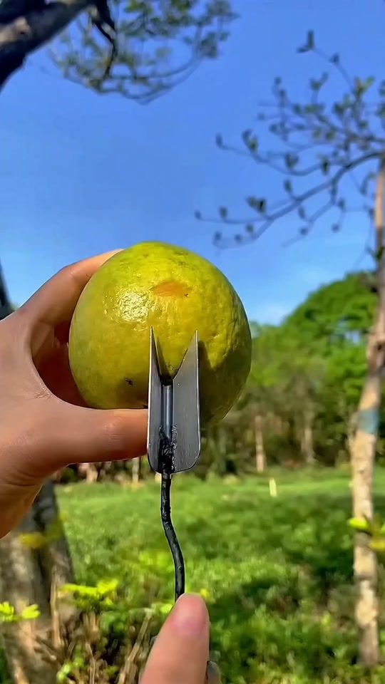 TikTok video thumbnail by ibtahim_2
