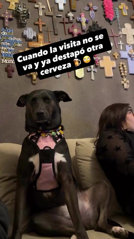 TikTok video thumbnail by masqueunamigo