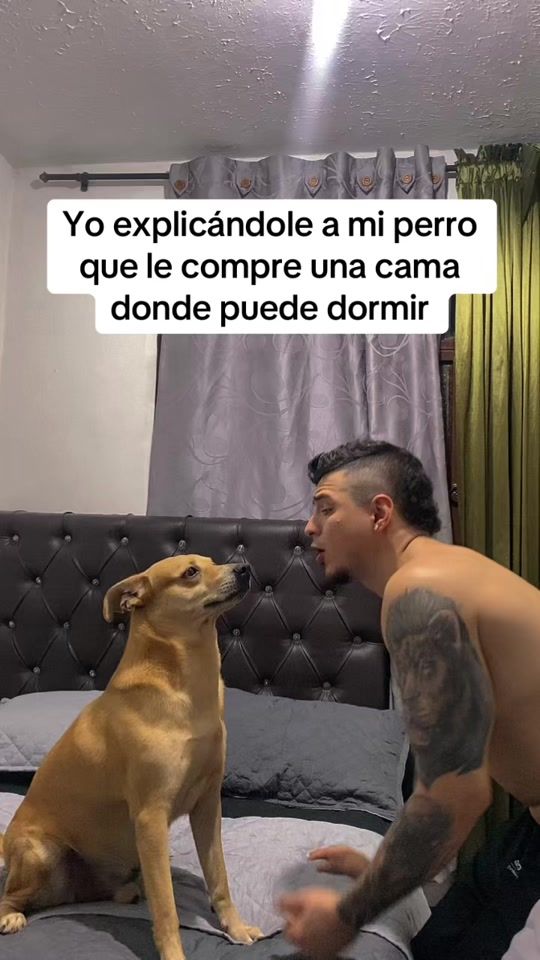 TikTok video thumbnail by rios_oficial99