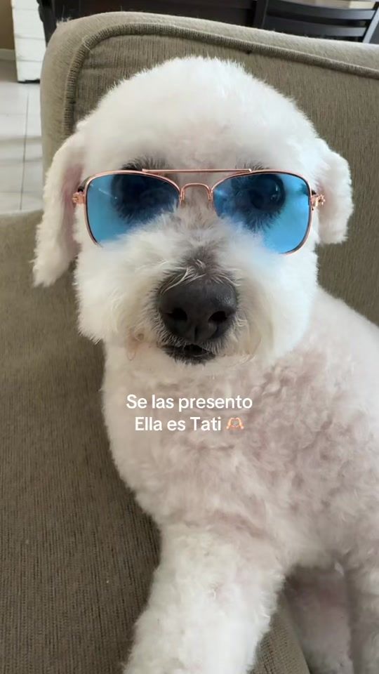 TikTok video thumbnail by ceciliacefala