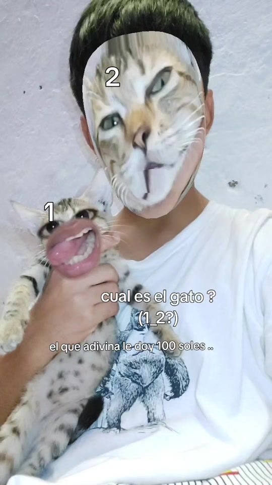 TikTok video thumbnail by schaale50