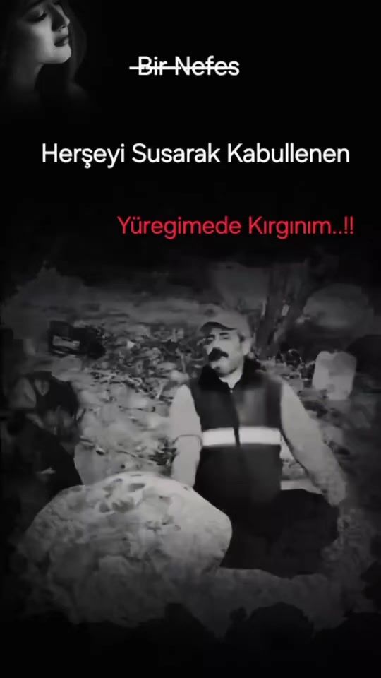 TikTok video thumbnail by _birnefess