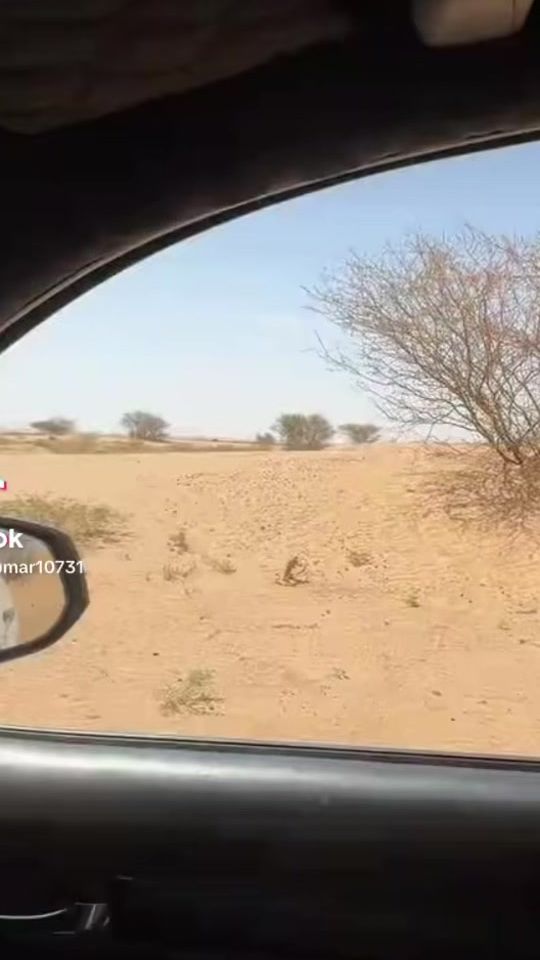 TikTok video thumbnail by oumar10731