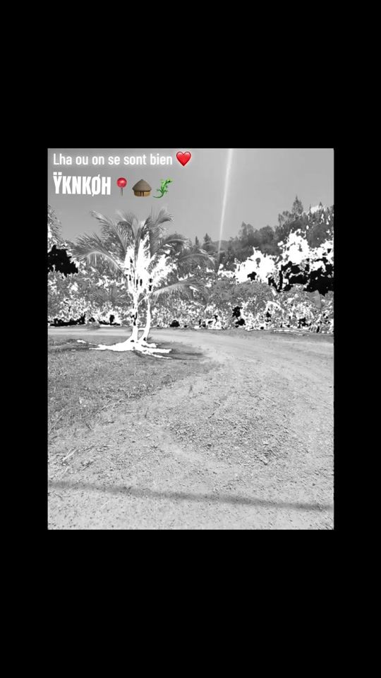TikTok video thumbnail by brl636