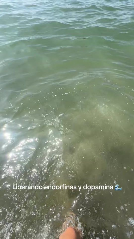 TikTok video thumbnail by mariapaz.gvb