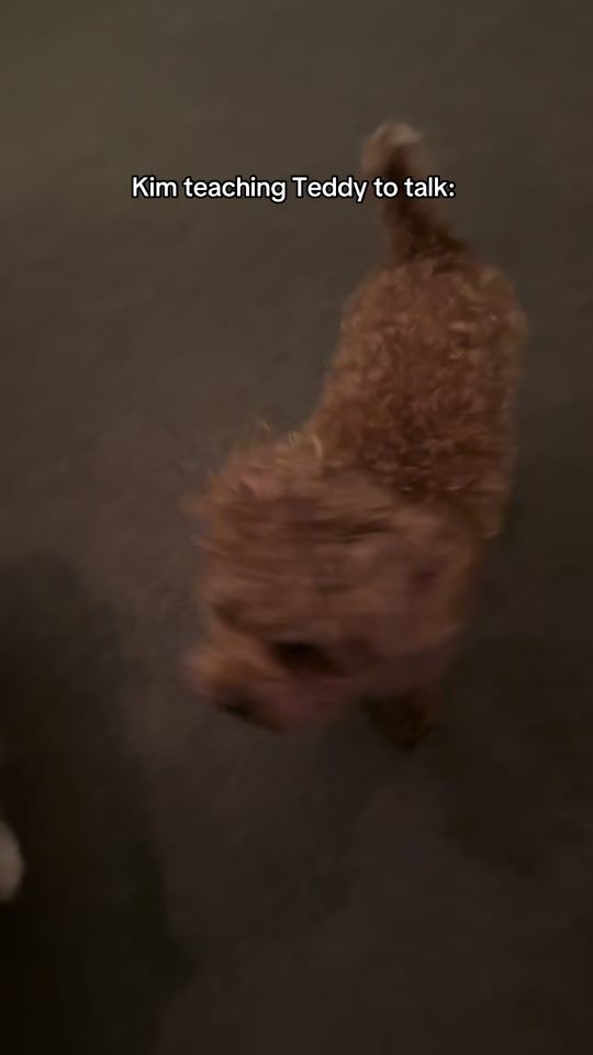 TikTok video thumbnail by kimandlyrick
