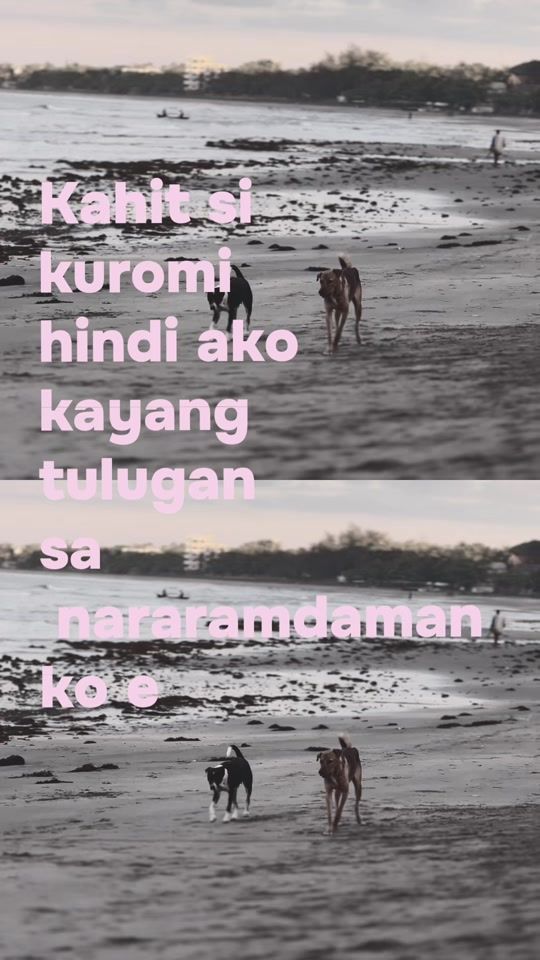 TikTok video thumbnail by wtfaust