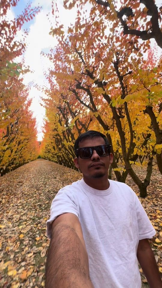 TikTok video thumbnail by rustam.nz
