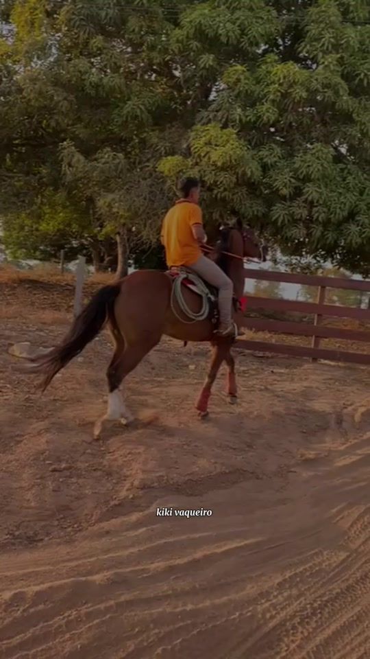 TikTok video thumbnail by eduardo.arcanjo_1