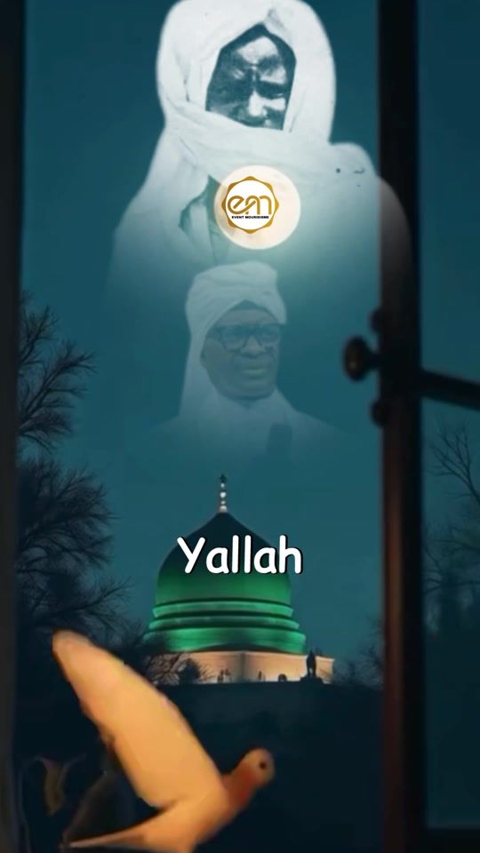 TikTok video thumbnail by assalihapro