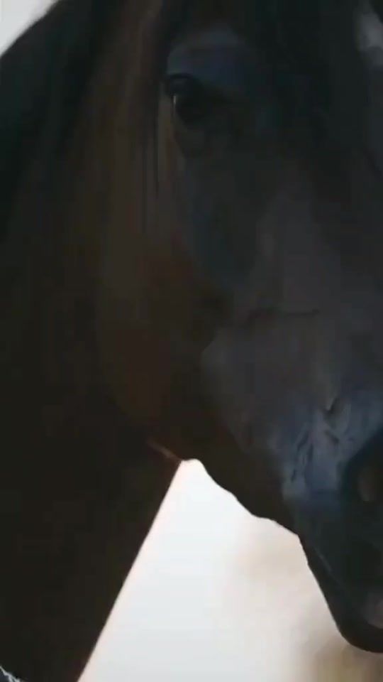 TikTok video thumbnail by hawammda