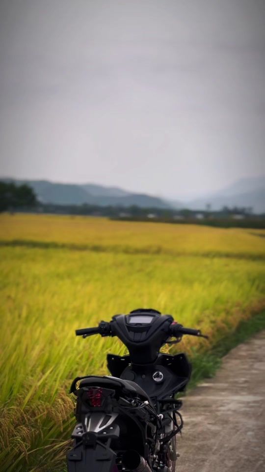 TikTok video thumbnail by talong12345