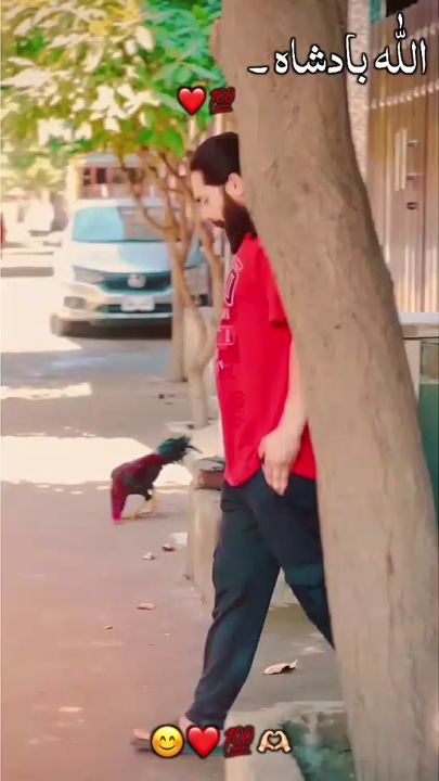 TikTok video thumbnail by waseemrock6