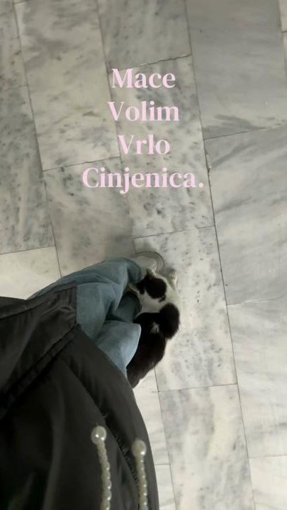 TikTok video thumbnail by usermjau3