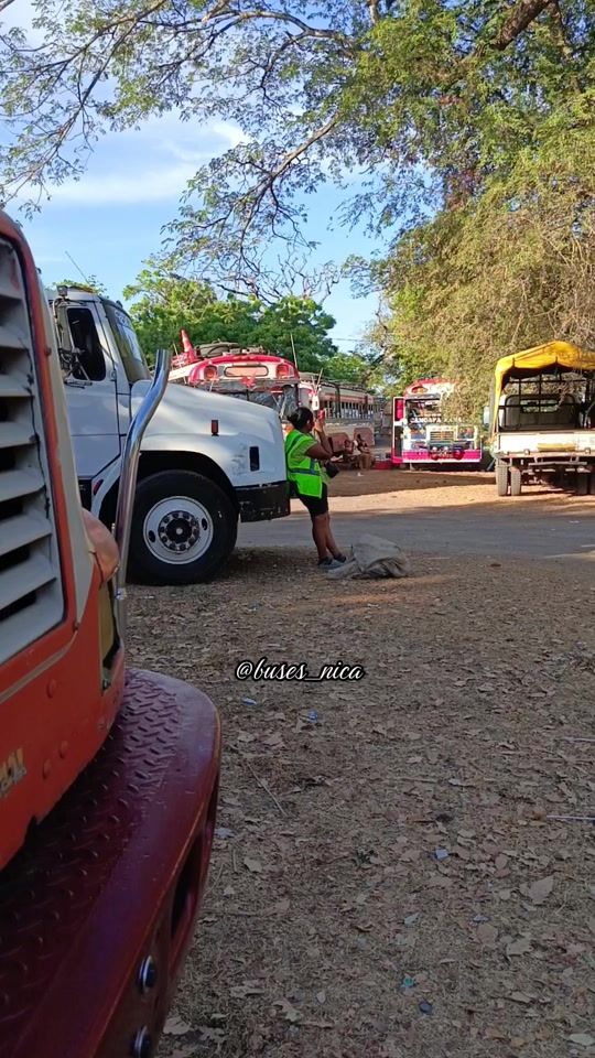 TikTok video thumbnail by buses_nica