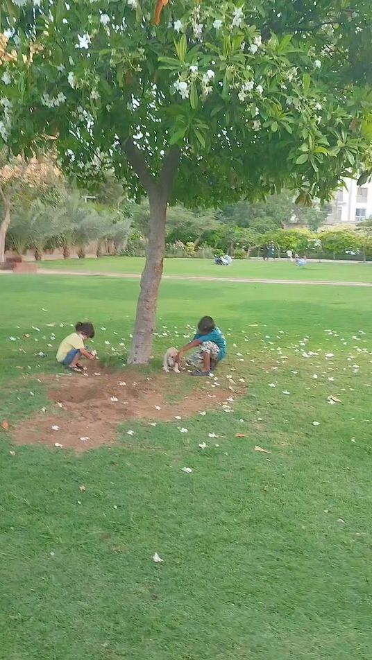 TikTok video thumbnail by shahgee47