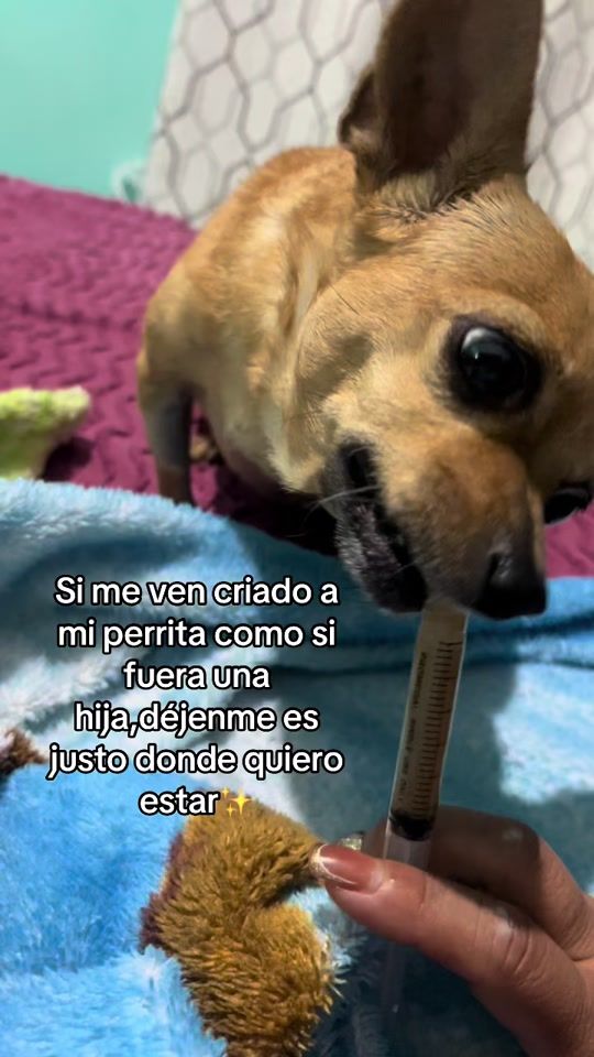 TikTok video thumbnail by putu1989
