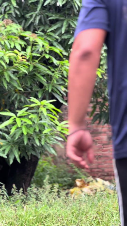 TikTok video thumbnail by jendrikoficial