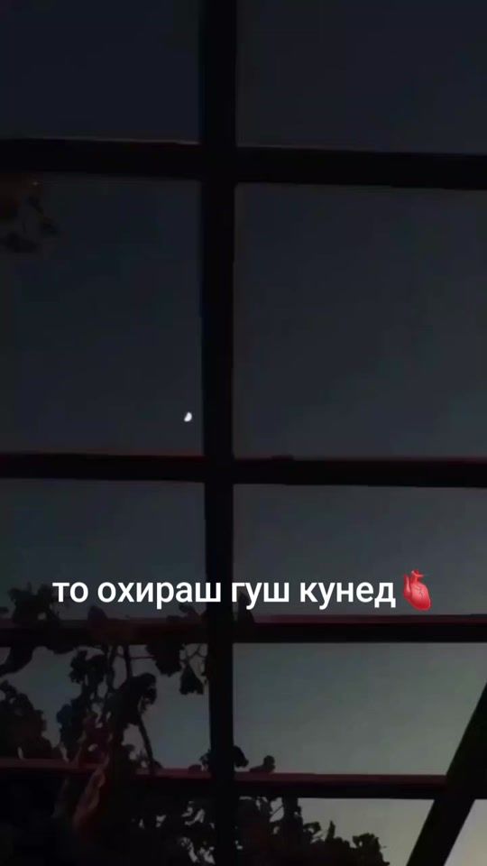 TikTok video thumbnail by user800138101