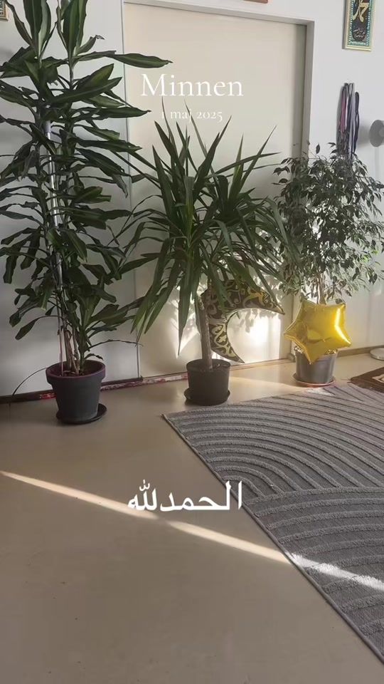 TikTok video thumbnail by awi.mohammed