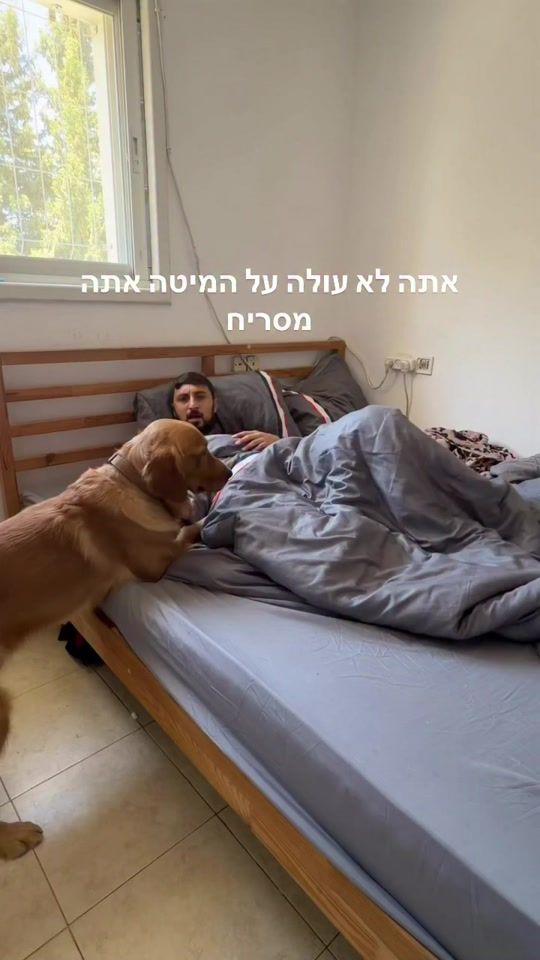 TikTok video thumbnail by kobialphadog