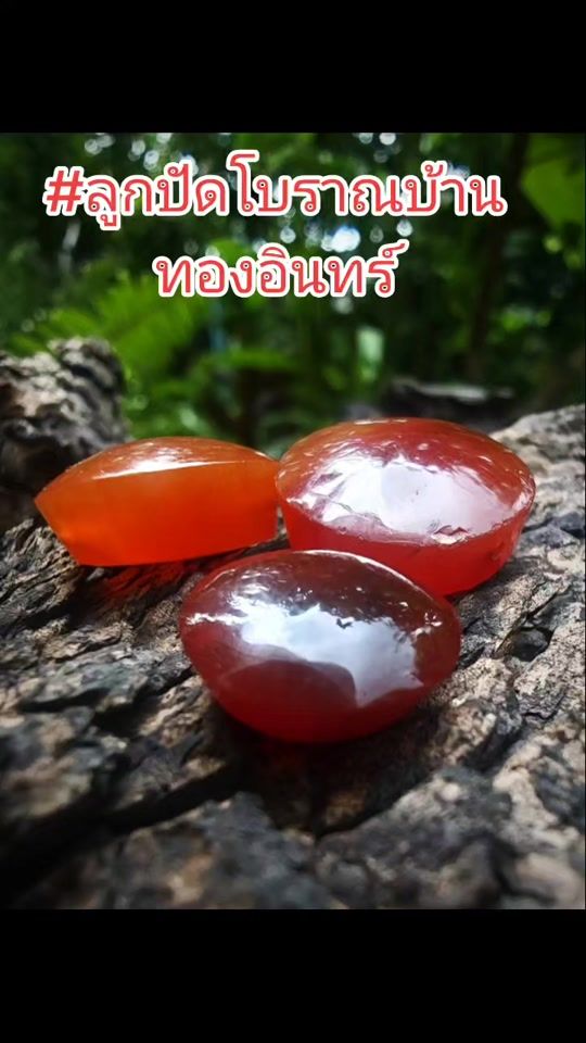 TikTok video thumbnail by cheerapron..pu