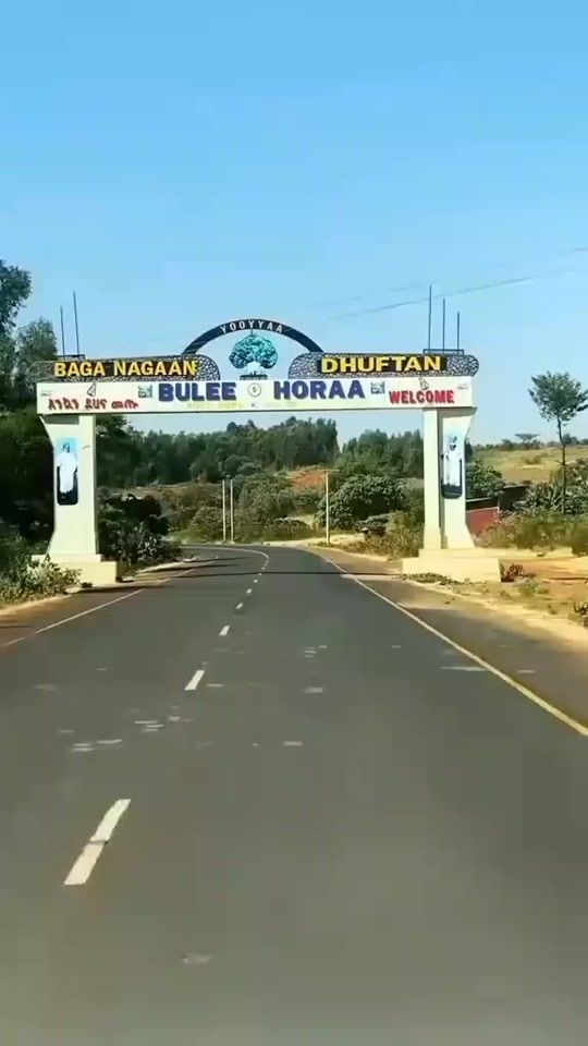 TikTok video thumbnail by zedobi