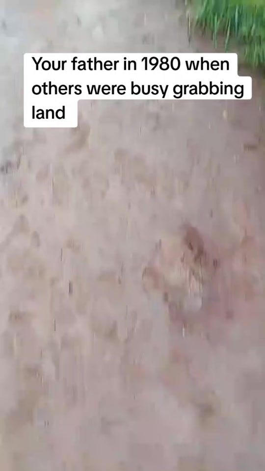 TikTok video thumbnail by _hashman_