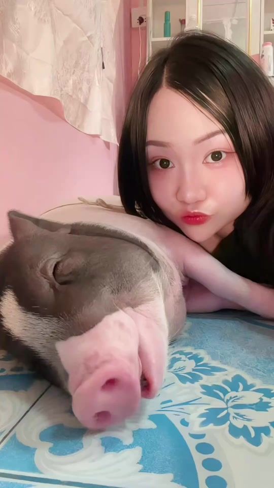 TikTok video thumbnail by mint_giantsnake